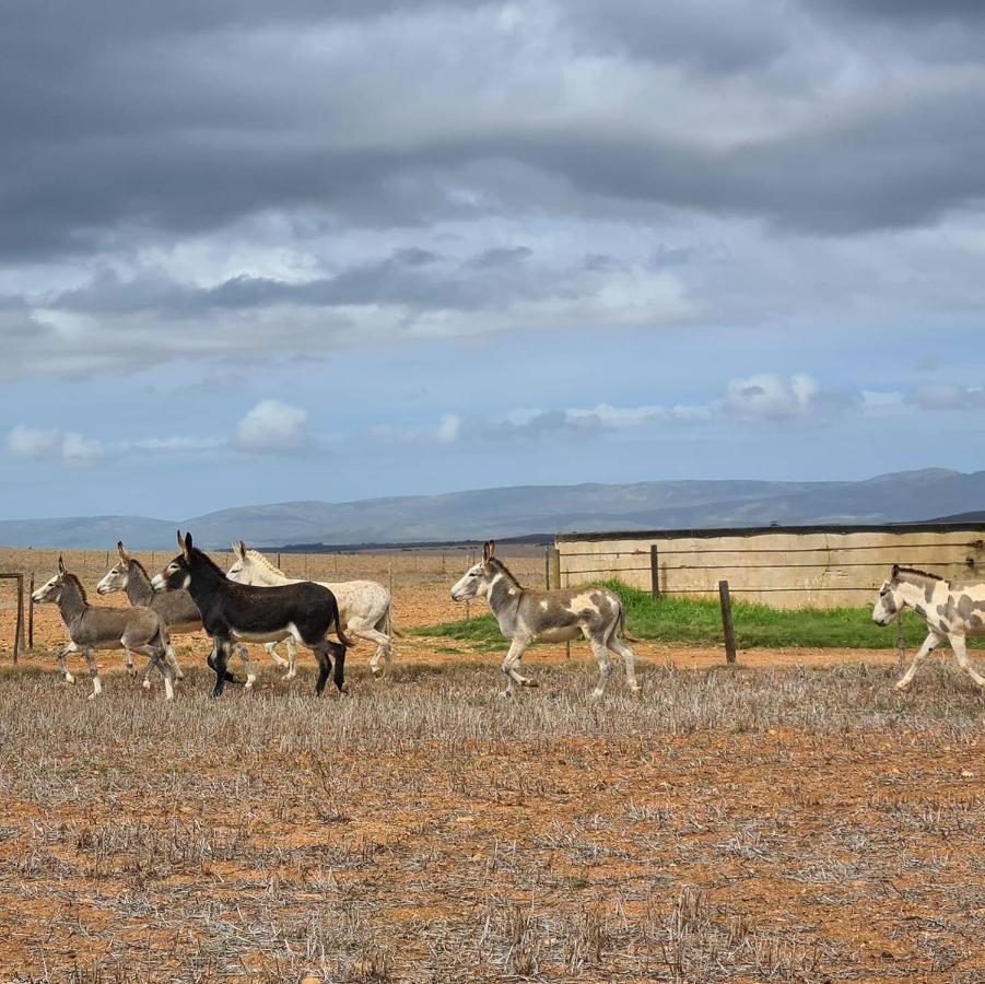 Oorvloed Guesthouse Swellendam Buitenkant foto