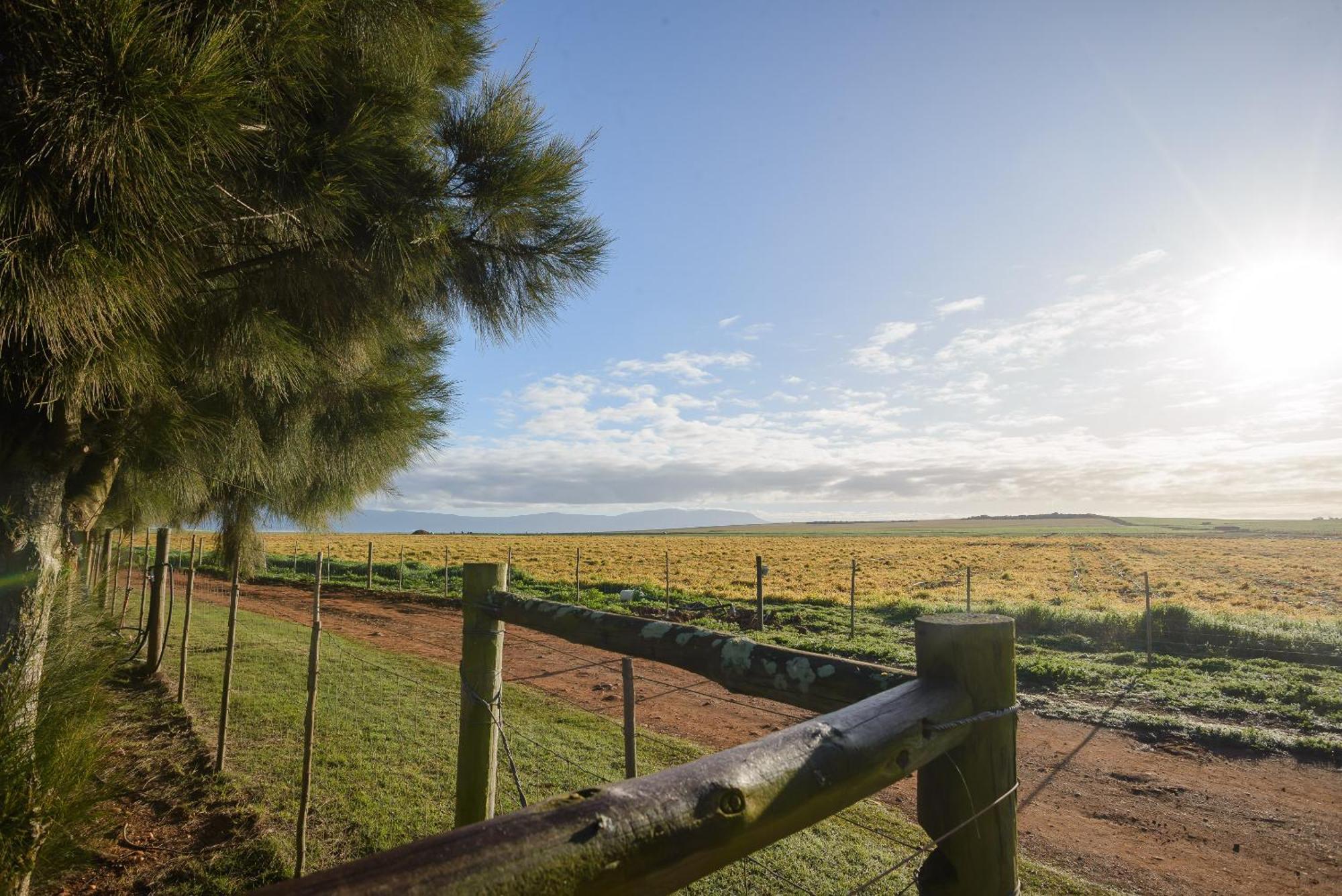 Oorvloed Guesthouse Swellendam Buitenkant foto